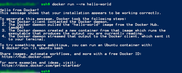 Example output of the docker console check Example output of the docker console check